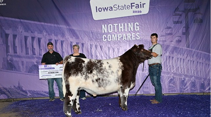 Bockenstedt Exhibits Reserve Champion Shorthorn Market Steer at State Fair